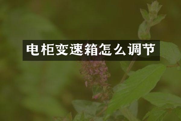 电柜变速箱怎么调节