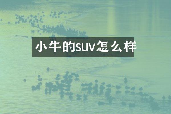 小牛的suv怎么样