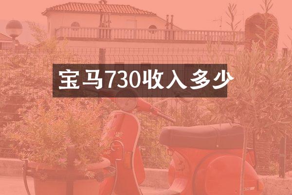 宝马730收入多少