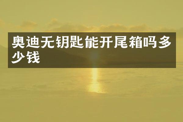 奥迪无钥匙能开尾箱吗多少钱