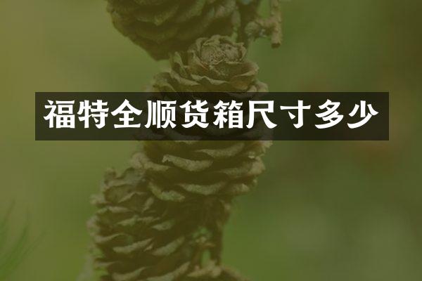 福特全顺货箱尺寸多少