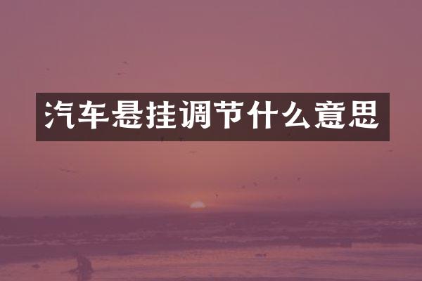 汽车悬挂调节什么意思