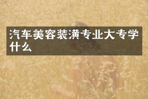 汽车美容装潢专业大专学什么