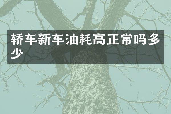 轿车新车油耗高正常吗多少