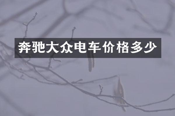 奔驰大众电车价格多少