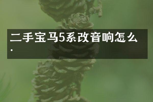 二手宝马5系改音响怎么样