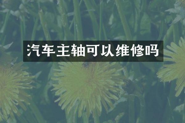 汽车主轴可以维修吗