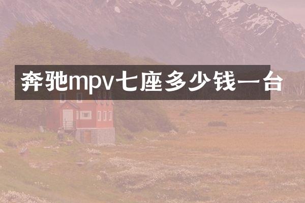 奔驰mpv七座多少钱一台