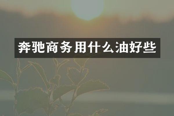 奔驰商务用什么油好些