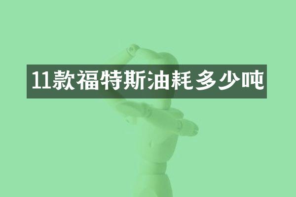11款福特斯油耗多少吨