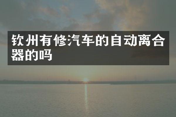 钦州有修汽车的自动离合器的吗