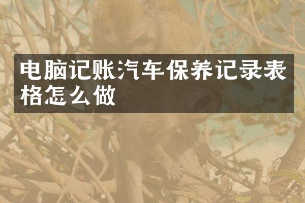 电脑记账汽车保养记录表格怎么做