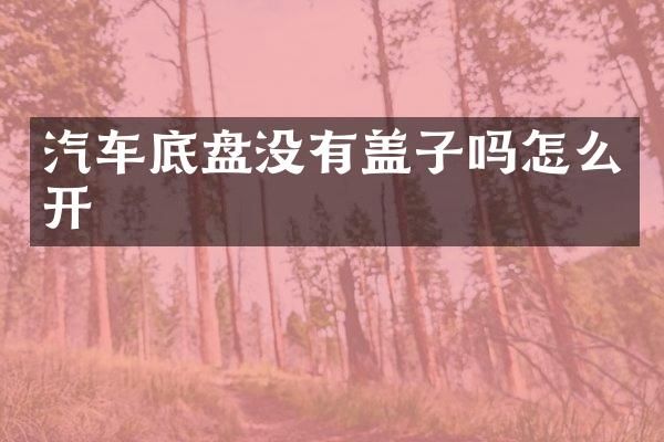 汽车底盘没有盖子吗怎么开