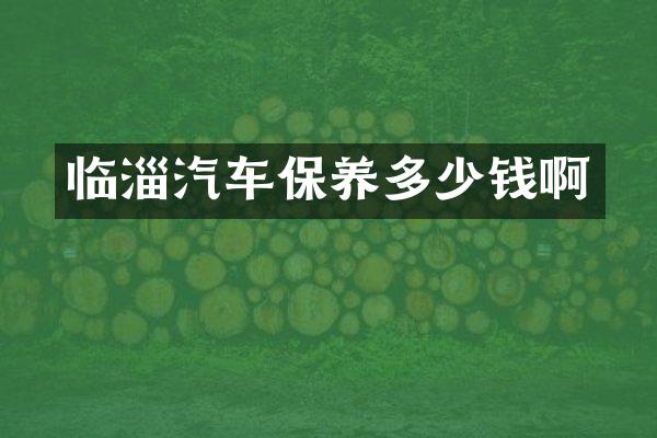 临淄汽车保养多少钱啊