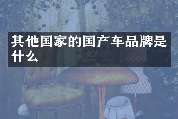 其他国家的国产车品牌是什么