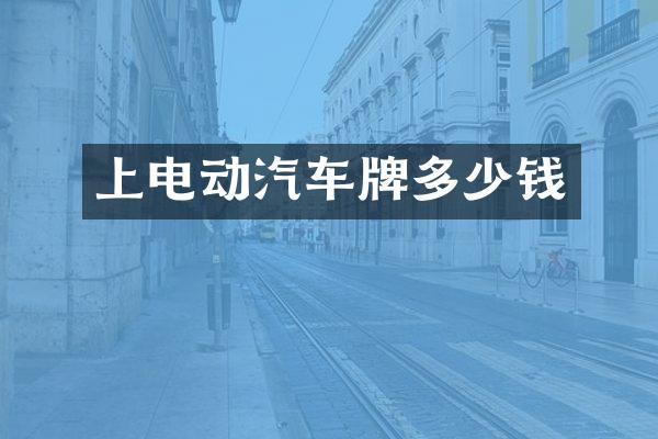 上电动汽车牌多少钱