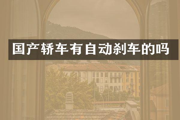 国产轿车有自动刹车的吗