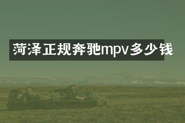 菏泽正规奔驰mpv多少钱