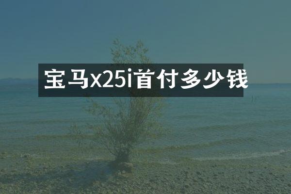 宝马x25i首付多少钱