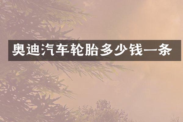 奥迪汽车轮胎多少钱一条