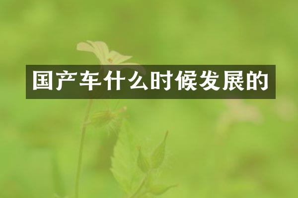 国产车什么时候发展的