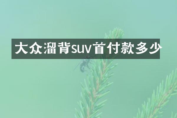 大众溜背suv首付款多少