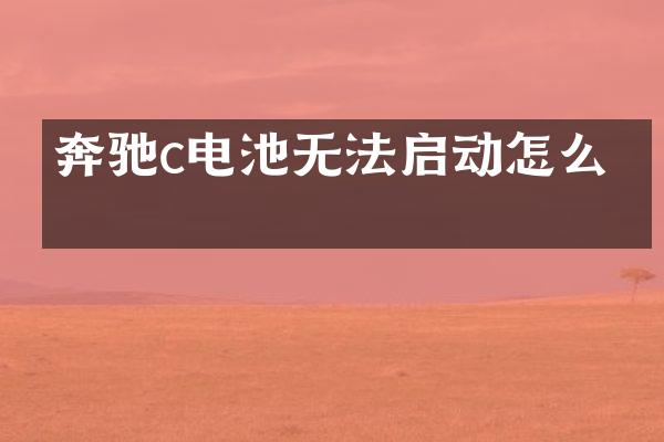 奔驰c电池无法启动怎么办