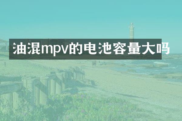 油混mpv的电池容量大吗