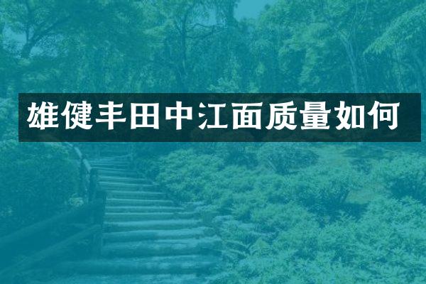 雄健丰田中江面质量如何