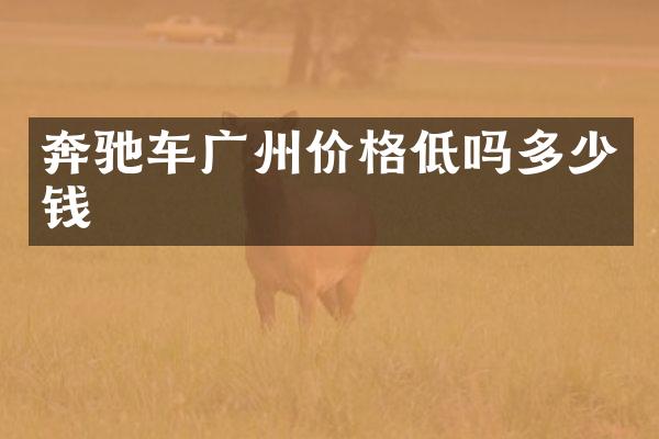 奔驰车广州价格低吗多少钱
