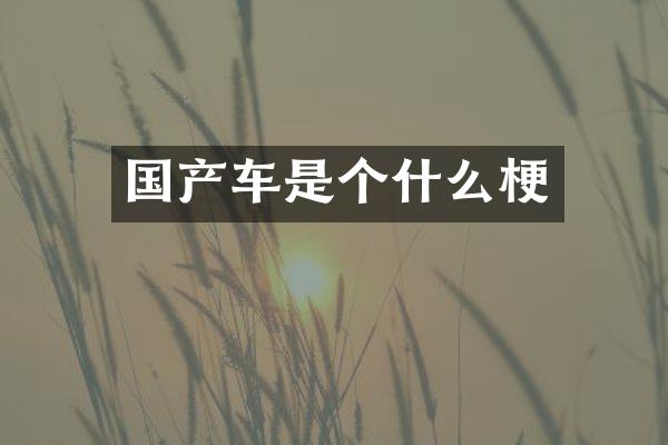 国产车是个什么梗
