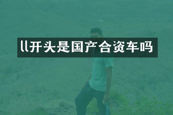 ll开头是国产合资车吗