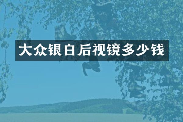 大众银白后视镜多少钱