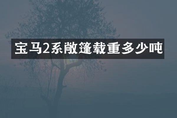 宝马2系敞篷载重多少吨