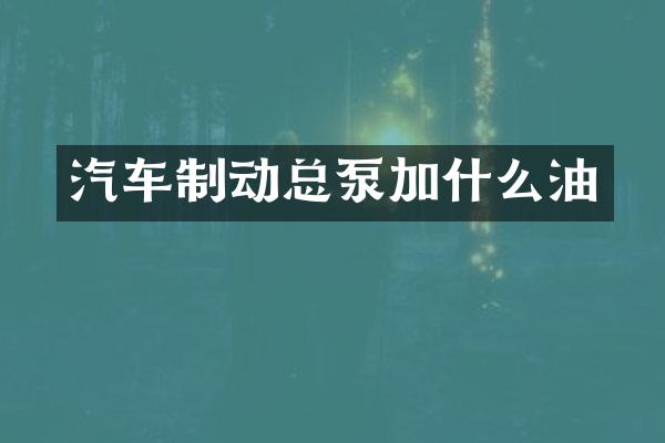 汽车制动总泵加什么油