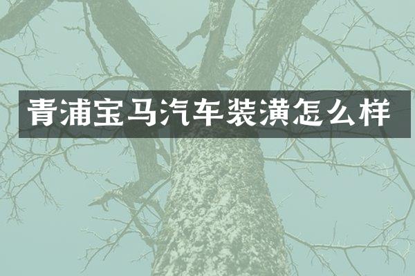 青浦宝马汽车装潢怎么样