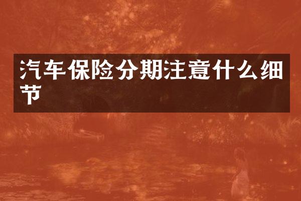 汽车保险分期注意什么细节