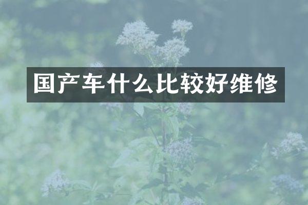 国产车什么比较好维修