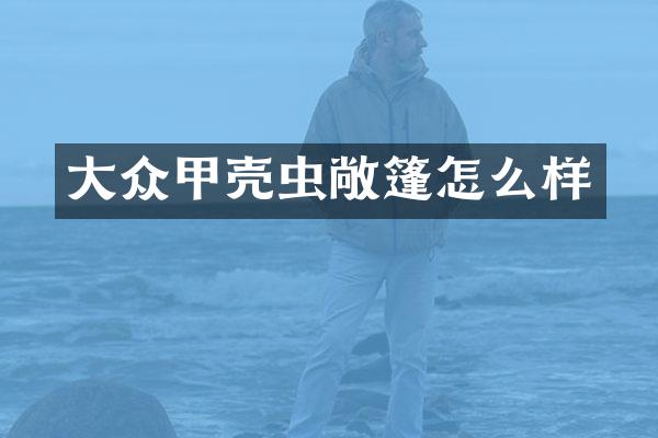 大众甲壳虫敞篷怎么样