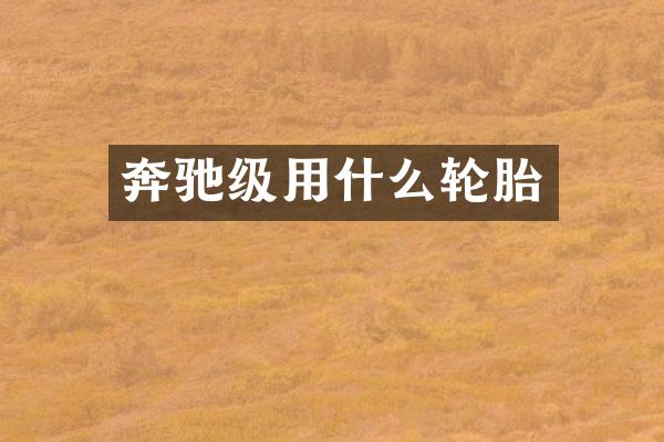 奔驰级用什么轮胎