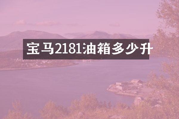 宝马2181油箱多少升