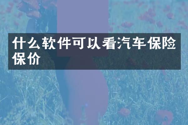 什么软件可以看汽车保险保价