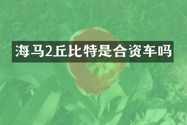 海马2丘比特是合资车吗