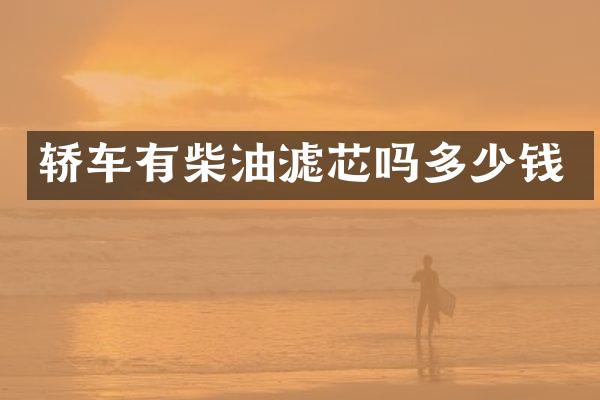 轿车有柴油滤芯吗多少钱
