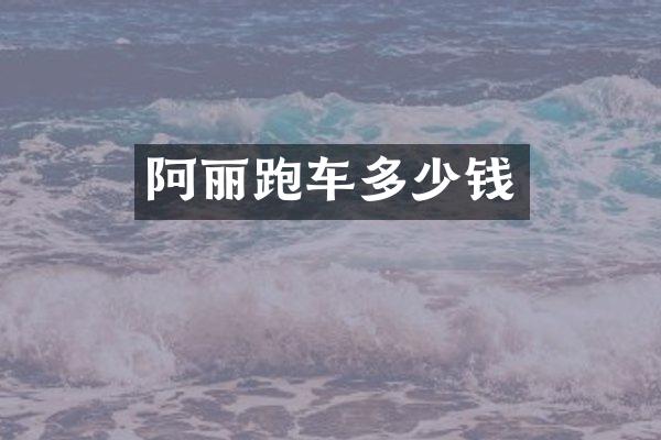 阿丽跑车多少钱