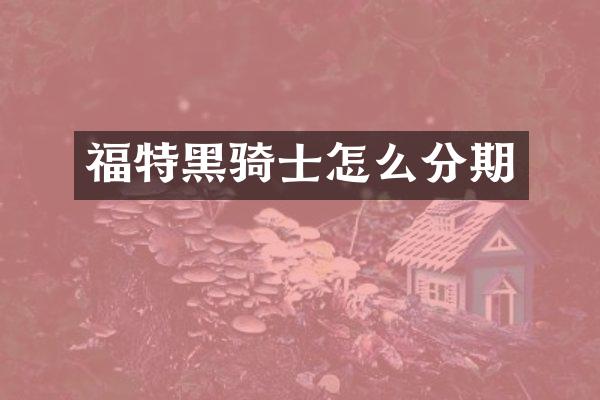 福特黑骑士怎么分期