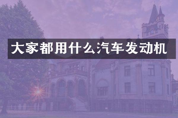 大家都用什么汽车发动机