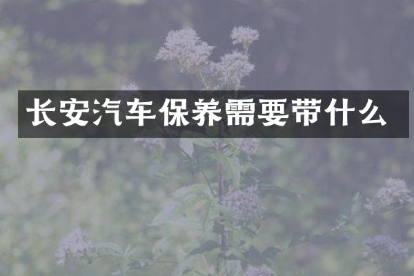 长安汽车保养需要带什么