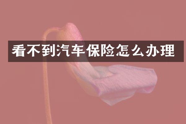 看不到汽车保险怎么办理