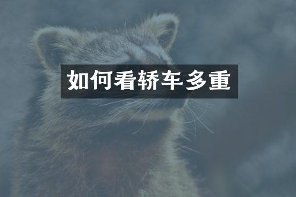 如何看轿车多重